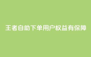 王者自助下单，用户权益有保障