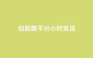 自助赞平台24小时发货,ks免费业务网 - 卡盟自营 - 快手24小时自助免费下单软件