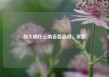胡大鹏任云南省委委员、常委