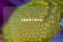 抖音免费下单平台