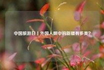 中国旅游日丨外国人眼中的新疆有多美？