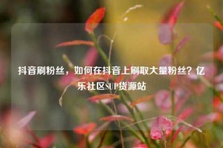 抖音刷粉丝，如何在抖音上刷取大量粉丝？亿乐社区SUP货源站
