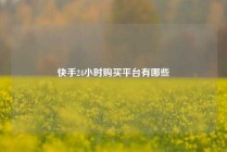 快手24小时购买平台有哪些