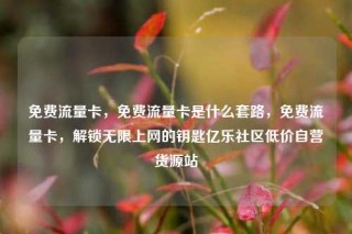 免费流量卡，免费流量卡是什么套路，免费流量卡，解锁无限上网的钥匙亿乐社区低价自营货源站