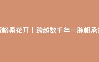 寻觅西藏 格桑花开丨跨越数千年一脉相承的藏医药