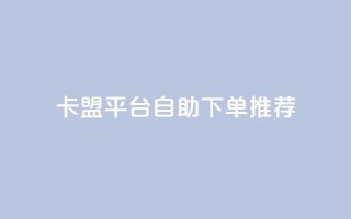 卡盟平台自助下单推荐 - 自助下单卡盟平台优选指南~