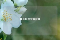 快手粉丝业务在哪