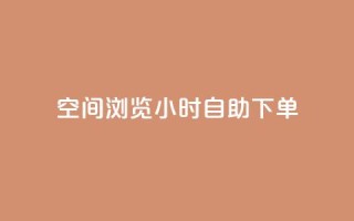 空间浏览24小时自助下单 - 24小时空间浏览自助下单服务！