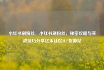 小红书刷粉丝，小红书刷粉丝，秘密攻略与实战技巧分享亿乐社区SUP货源站
