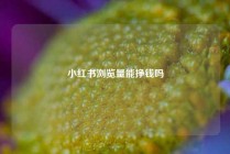 小红书浏览量能挣钱吗