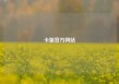 卡盟官方网站