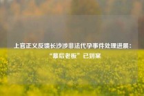 上官正义反馈长沙涉非法代孕事件处理进展：“幕后老板”已到案