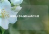 抖音粉丝怎么涨到1000有什么用