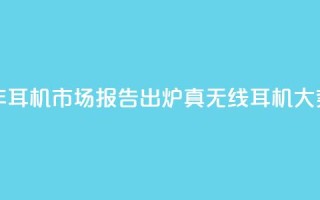 2024上半年耳机市场报告出炉：真无线耳机大势已去