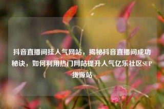 抖音直播间挂人气网站，揭秘抖音直播间成功秘诀，如何利用热门网站提升人气亿乐社区SUP货源站