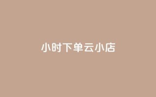 24小时下单云小店 - qqc十年沉淀2023轻量版