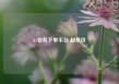 ks业务下单平台 超低价