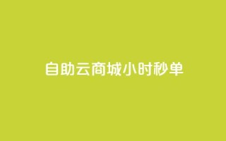 自助云商城24小时秒单 - 全天候自助云商城秒杀服务 助你快速下单~