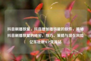 抖音刷播放量，抖音增加播放量的软件，揭秘抖音刷播放量的秘密，技巧、策略与潜在风险亿乐社区SUP货源站