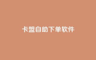卡盟自助下单软件 - 卡盟自助下单工具全新解析与使用指南！