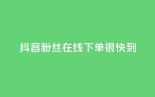 抖音粉丝在线下单很快到 - 抖音粉丝轻松下单迅速到达~