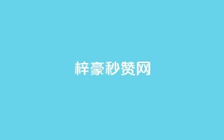 梓豪秒赞网,一元一百个赞秒回快手 - dy业务低价自助下单转发 - 业务24小时下单平台