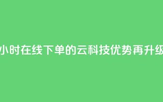 24小时在线下单的12云科技优势再升级