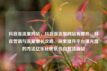 抖音涨流量网站，抖音涨流量网站有哪些，抖音营销与流量增长攻略，探索提升平台曝光度的方法亿乐社区低价自营货源站