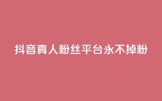 抖音真人粉丝平台 永不掉粉 - 抖音真人粉丝长期稳定平台！