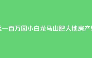 快手粉丝一百万0.01园小白龙马山肥大地房产装修网站,1分钟3000赞 - 刷空间访客人数 - QQ动态自动秒赞