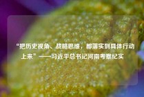 “把历史视角、战略思维，都落实到具体行动上来”——习近平总书记河南考察纪实