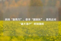 扶持“新势力”、牵手“国家队”，英伟达对“最大客户”时刻提防