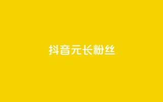 抖音1元长1000粉丝 - 抖音以1元获1000粉丝的秘密揭秘~