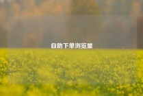 自助下单浏览量