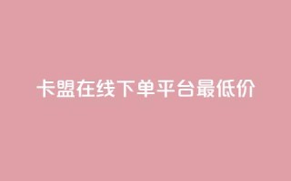 卡盟在线下单平台最低价 - 最低价在线下单平台推荐~