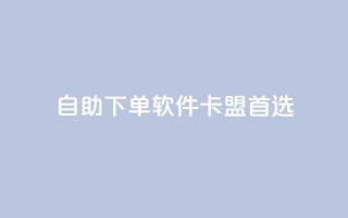 自助下单软件——卡盟首选