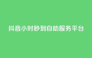抖音24小时秒到自助服务平台,抖音快手真人粉软件有哪些 - QQ点赞链接入口 - QQ空间浏览访客购买网站