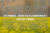 小红书刷粉丝，如何在小红书上快速积累粉丝？亿乐社区SUP货源站