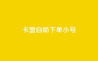 卡盟自助下单dy小号 - 卡盟自助下单小号重要性~