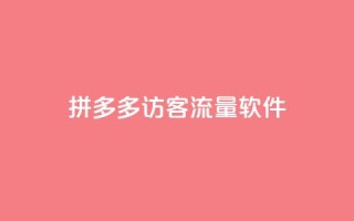 拼多多访客流量软件,粉丝如何快速涨到一万 - 24小时自助下单拼多多 - 拼多多助力在哪打开的