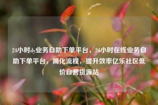24小时dy业务自助下单平台，24小时在线业务自助下单平台，简化流程，提升效率亿乐社区低价自营货源站