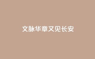文脉华章｜又见长安