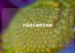 抖音音乐播放在线听