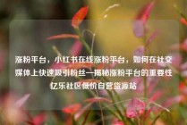 涨粉平台，小红书在线涨粉平台，如何在社交媒体上快速吸引粉丝—揭秘涨粉平台的重要性亿乐社区低价自营货源站