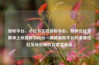 涨粉平台，小红书在线涨粉平台，如何在社交媒体上快速吸引粉丝—揭秘涨粉平台的重要性亿乐社区低价自营货源站