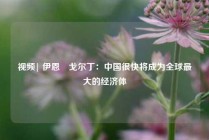 视频| 伊恩・戈尔丁：中国很快将成为全球最大的经济体