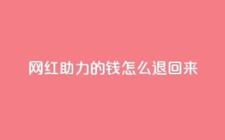 网红助力的钱怎么退回来 - 网红助力的资金如何顺利退款~