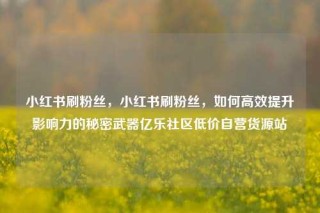 小红书刷粉丝，小红书刷粉丝，如何高效提升影响力的秘密武器亿乐社区低价自营货源站
