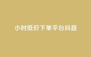 24小时低价下单平台抖音 - 快手业务平台子萧网