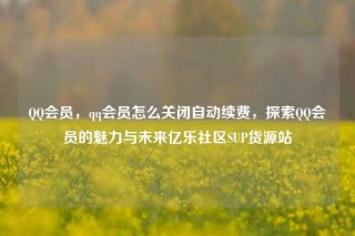 QQ会员，qq会员怎么关闭自动续费，探索QQ会员的魅力与未来亿乐社区SUP货源站